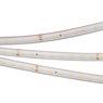 Лента светодиодная RTW 2-5000PS-50m 24V Day4000 (2835, 80 LED/m, LUX) (Arlight, 6 Вт/м, IP67)