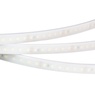 Лента светодиодная RTW 2-5000PW 24V Day4000 2x (3528, 600 LED, LUX) (Arlight, 9.6 Вт/м, IP66)