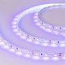 Лента светодиодная RT-A60-8mm 12V UV400 (4.8 W/m, IP20, 2835, 5m) (Arlight, Открытый)