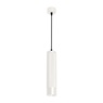 Светильник SP-SPICY-HANG-R70-13W Day4000 (WH, 50 deg, 230V) (Arlight, IP20 Металл, 3 года)