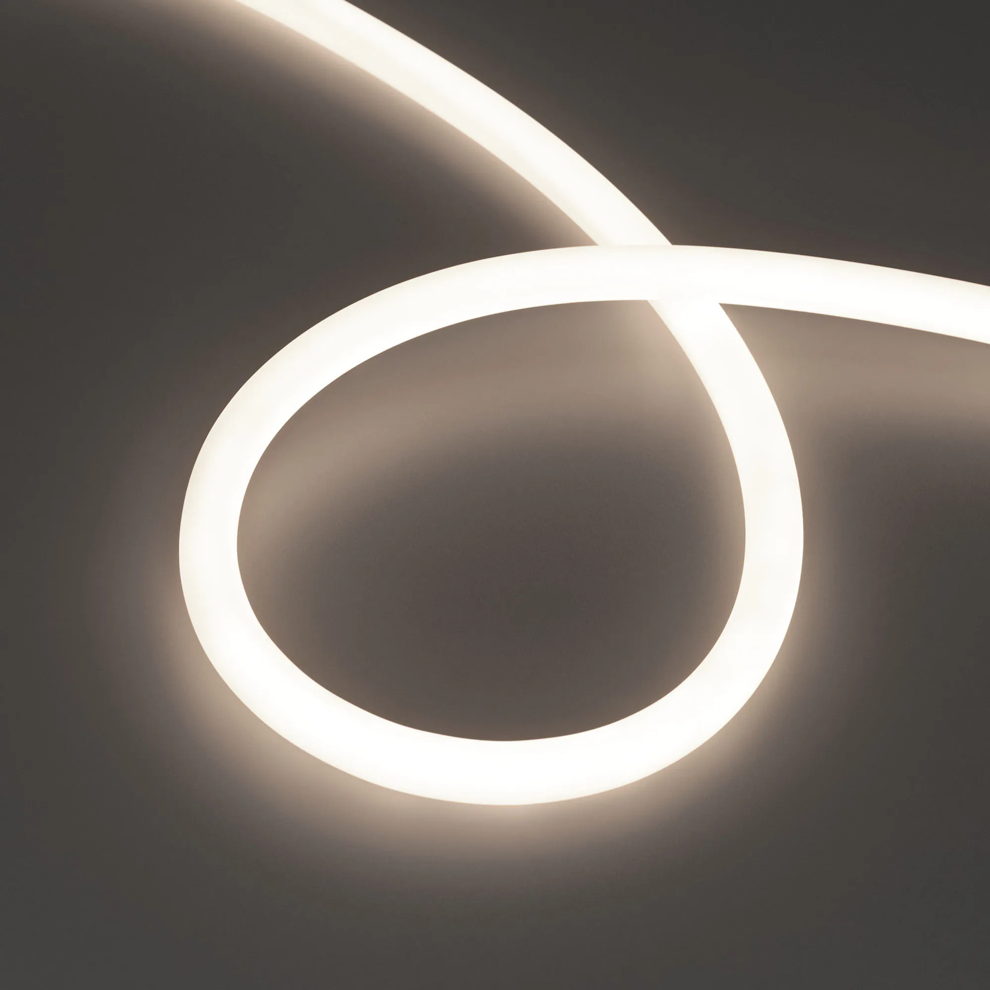Лента светодиодная герметичная MOONLIGHT-TOP-M560-D13mm 24V Day4000 360deg (8.6 W/m, IP65, 5m, wire x1) (Arlight, Вывод прямой, 3 года) - изображение товара
