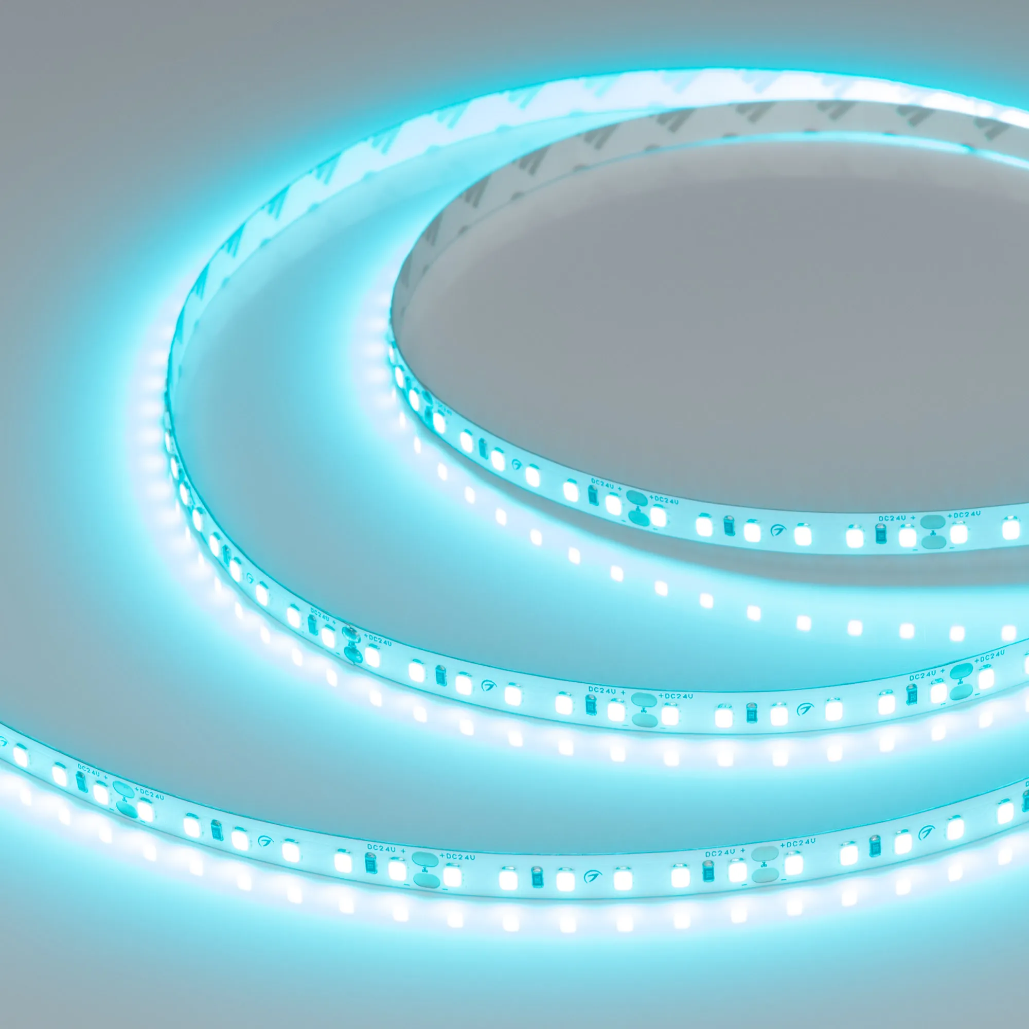 Лента светодиодная RT-A120-8mm 24V Tiffany (9.6 W/m, IP20, 2835, 5m) (Arlight, -) - изображение товара